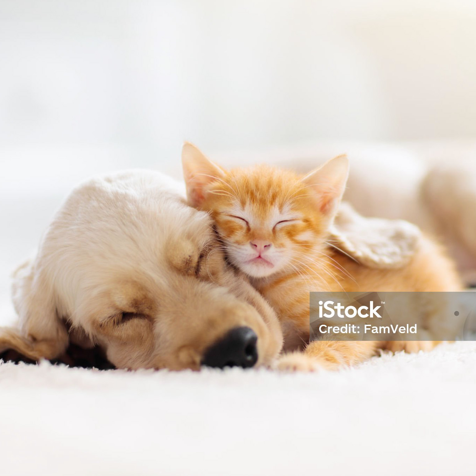 Commercial Photography